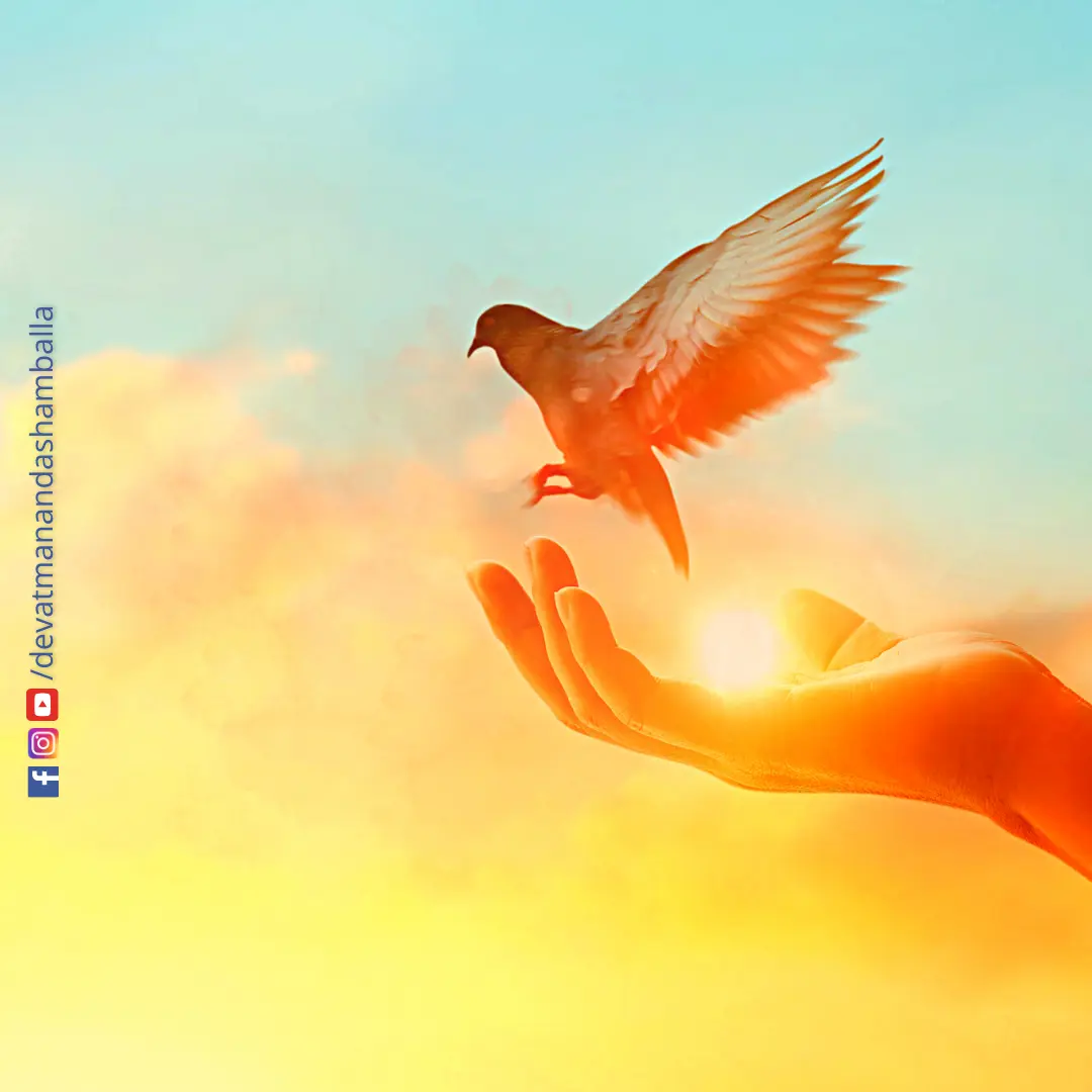 Brahmarishis Hermitage Devatmananda Shamballa Rishis Siddhas Siddhar Sprituality Kalki Saptharishis Saptarishis
Divine Soul Guru Wisdom Positive Quotes