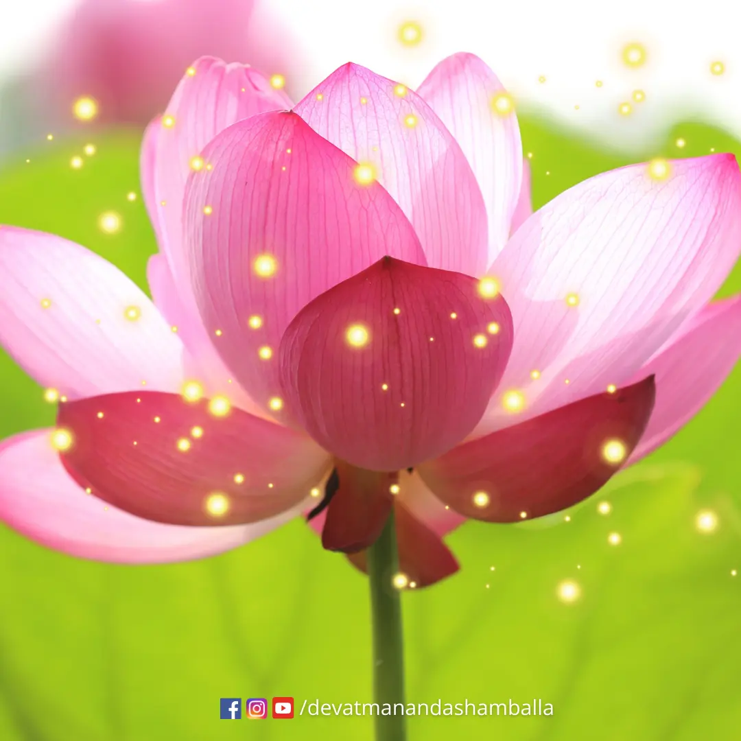 Brahmarishis Hermitage Devatmananda Shamballa Rishis Siddhas Siddhar Sprituality Kalki Saptharishis Saptarishis
Divine Soul Guru Wisdom Positive Quotes