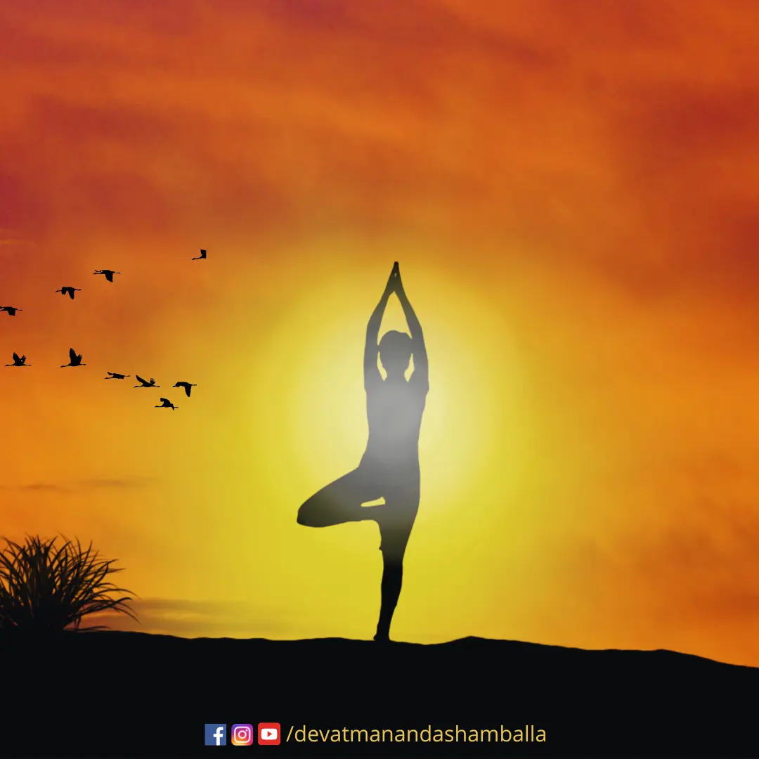 Brahmarishis Hermitage Devatmananda Shamballa Rishis Siddhas Siddhar Sprituality Kalki Saptharishis Saptarishis
Divine Soul Guru Wisdom Positive Quotes