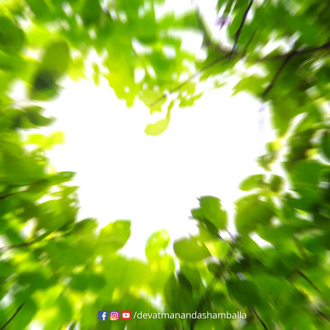 Brahmarishis Hermitage Devatmananda Shamballa Rishis Siddhas Siddhar Sprituality Kalki Saptharishis Saptarishis
Divine Soul Guru Wisdom Positive Quotes