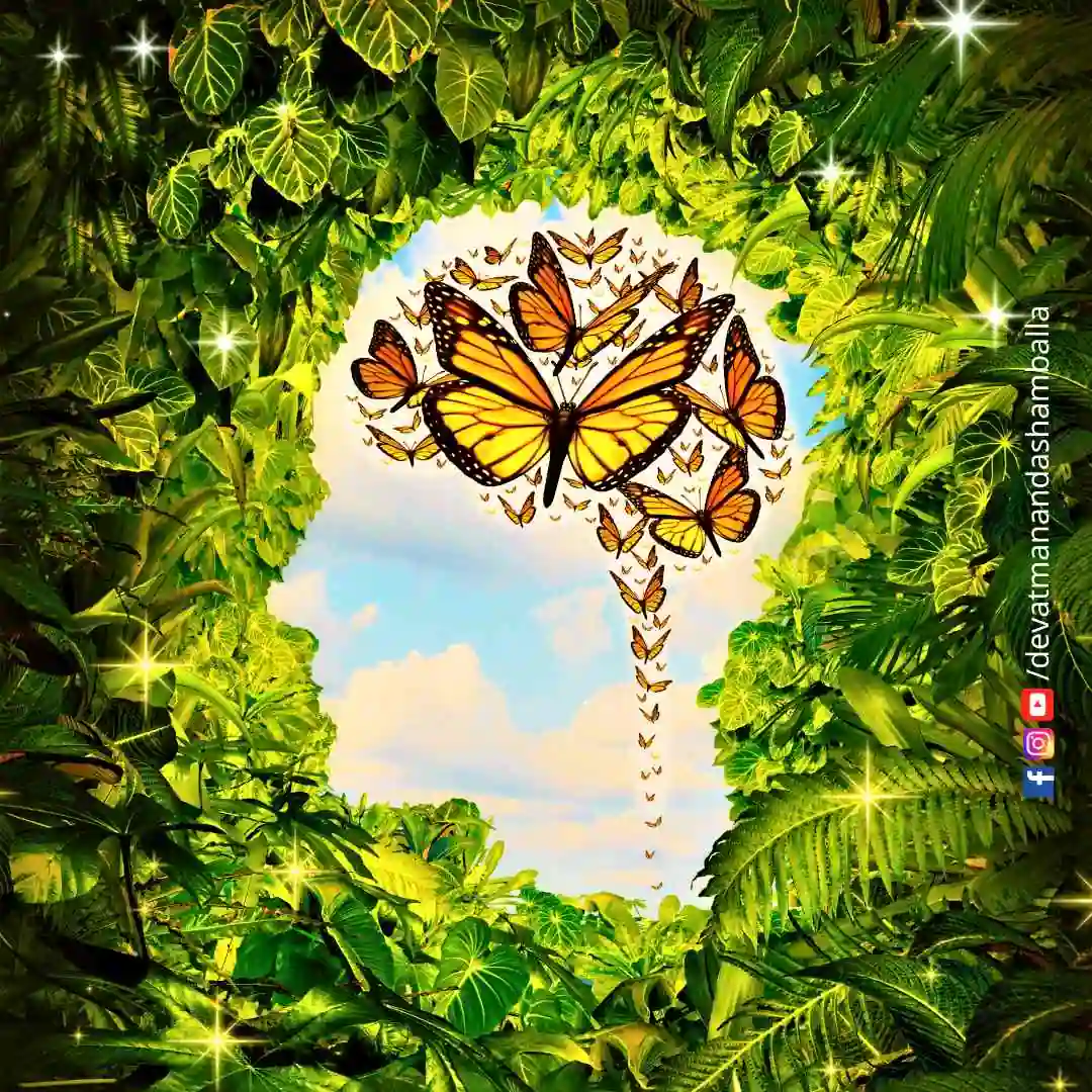 Brahmarishis Hermitage Devatmananda Shamballa Rishis Siddhas Siddhar Sprituality Kalki Saptharishis Saptarishis
Divine Soul Guru Wisdom Positive Quotes